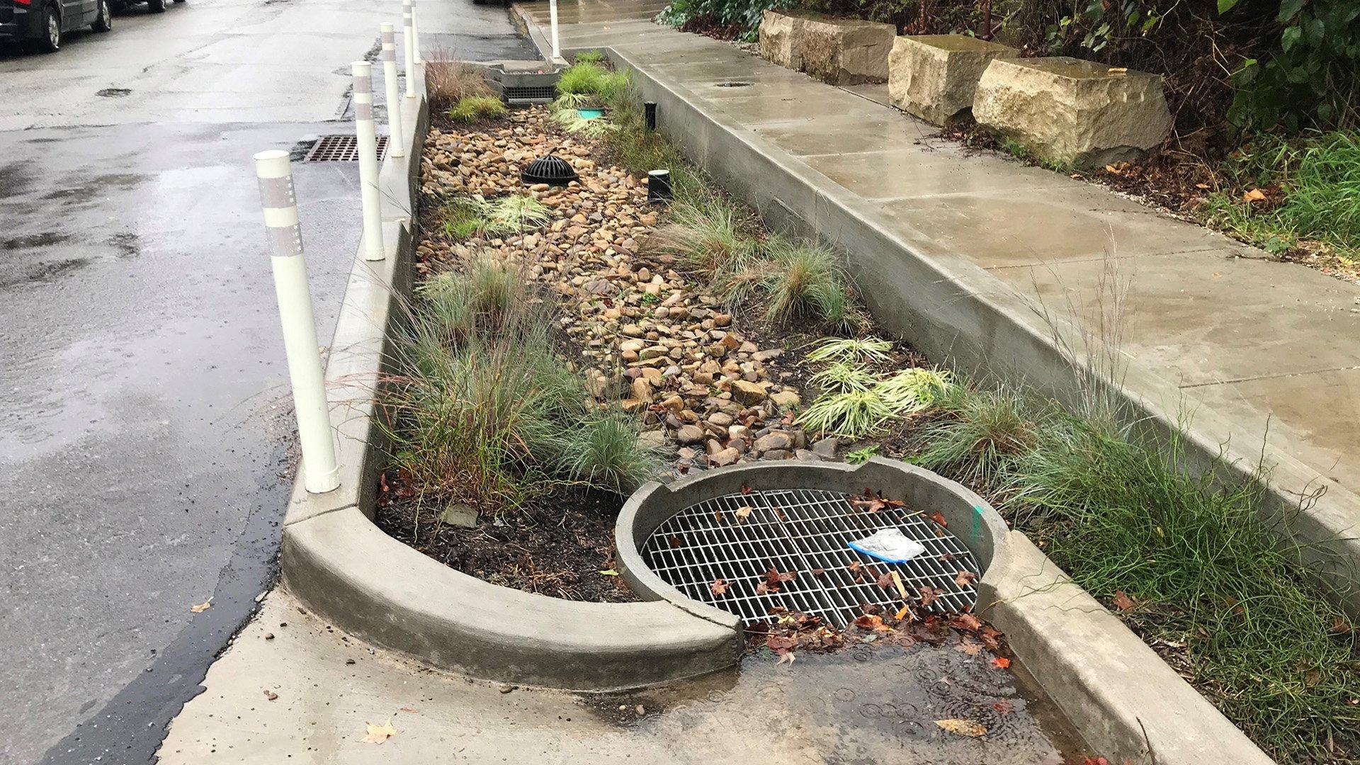 Next to the curb in a rainy parking lot, a storm drain catches debris and leaves.